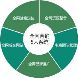 互联网+时代的企业全网营销